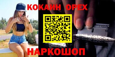гашик Кунгур