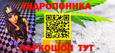 гашик Кунгур