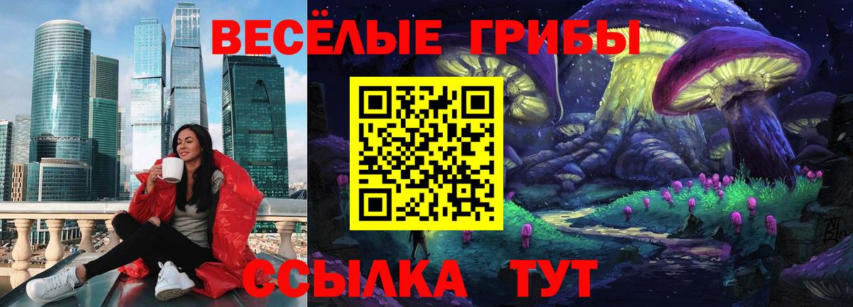 Галлюциногенные грибы прущие грибы  Вход с VPN  Десногорск 